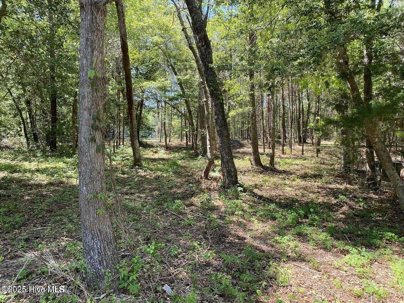 0.4 Acres of Residential Land for Sale in Supply, North Carolina