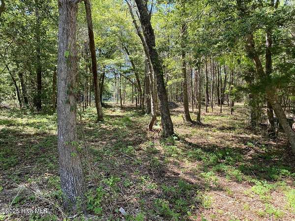 0.4 Acres of Residential Land for Sale in Supply, North Carolina