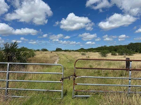 44 Acres of Recreational Land & Farm for Sale in Kingsville, Texas