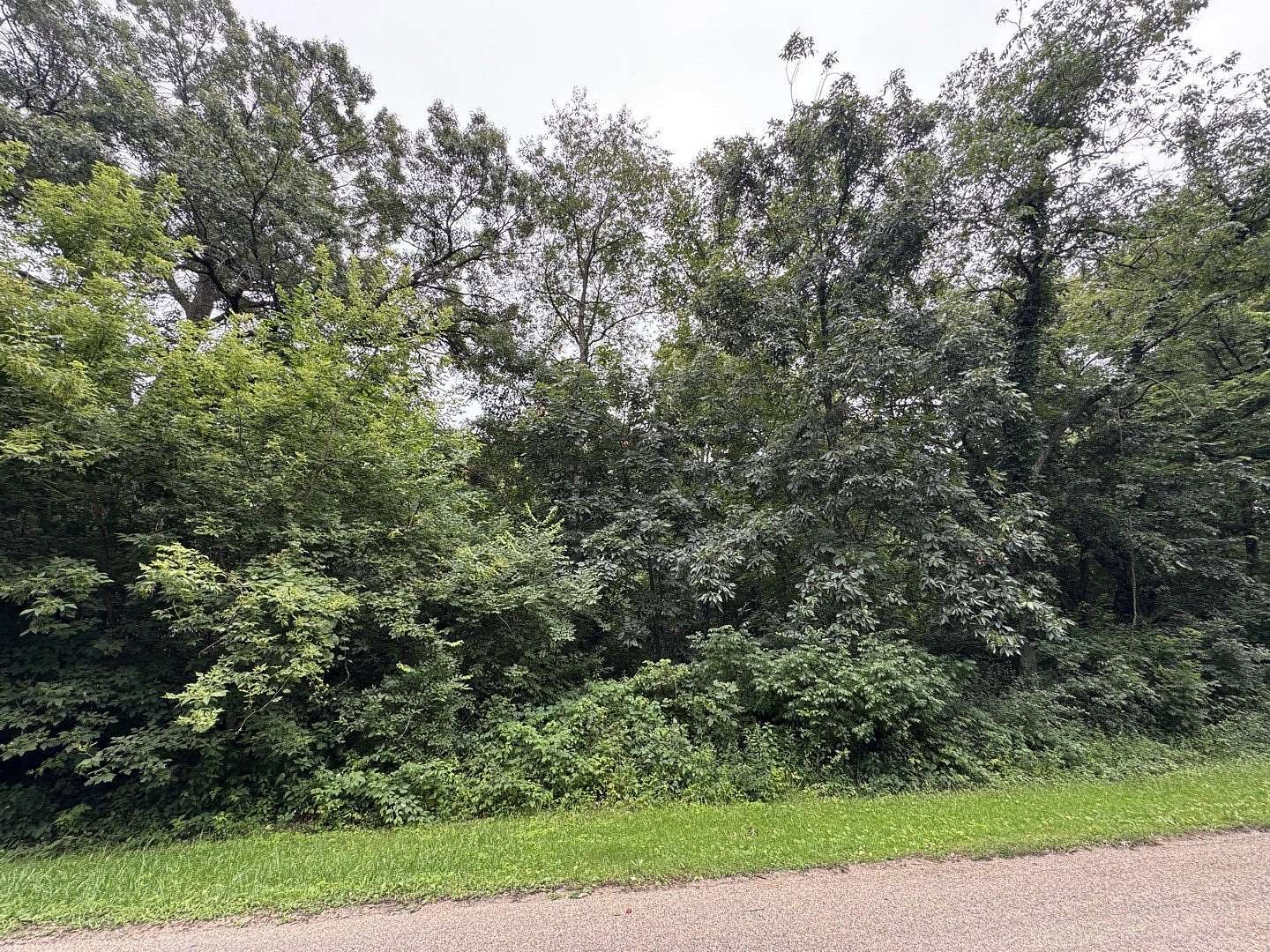 0.8 Acres of Residential Land for Sale in Dixon, Illinois