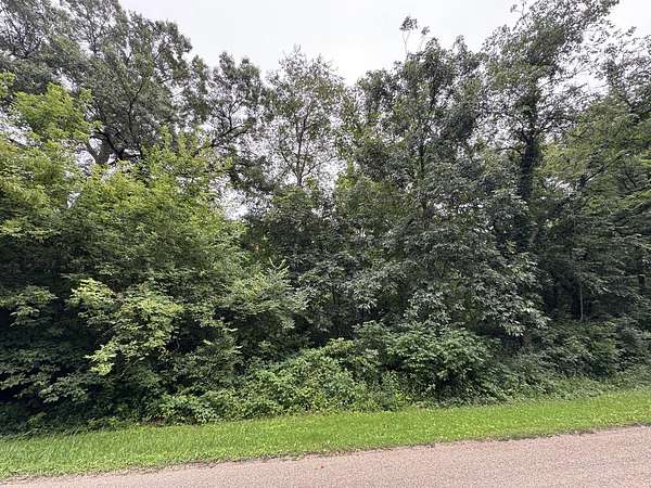 0.8 Acres of Residential Land for Sale in Dixon, Illinois