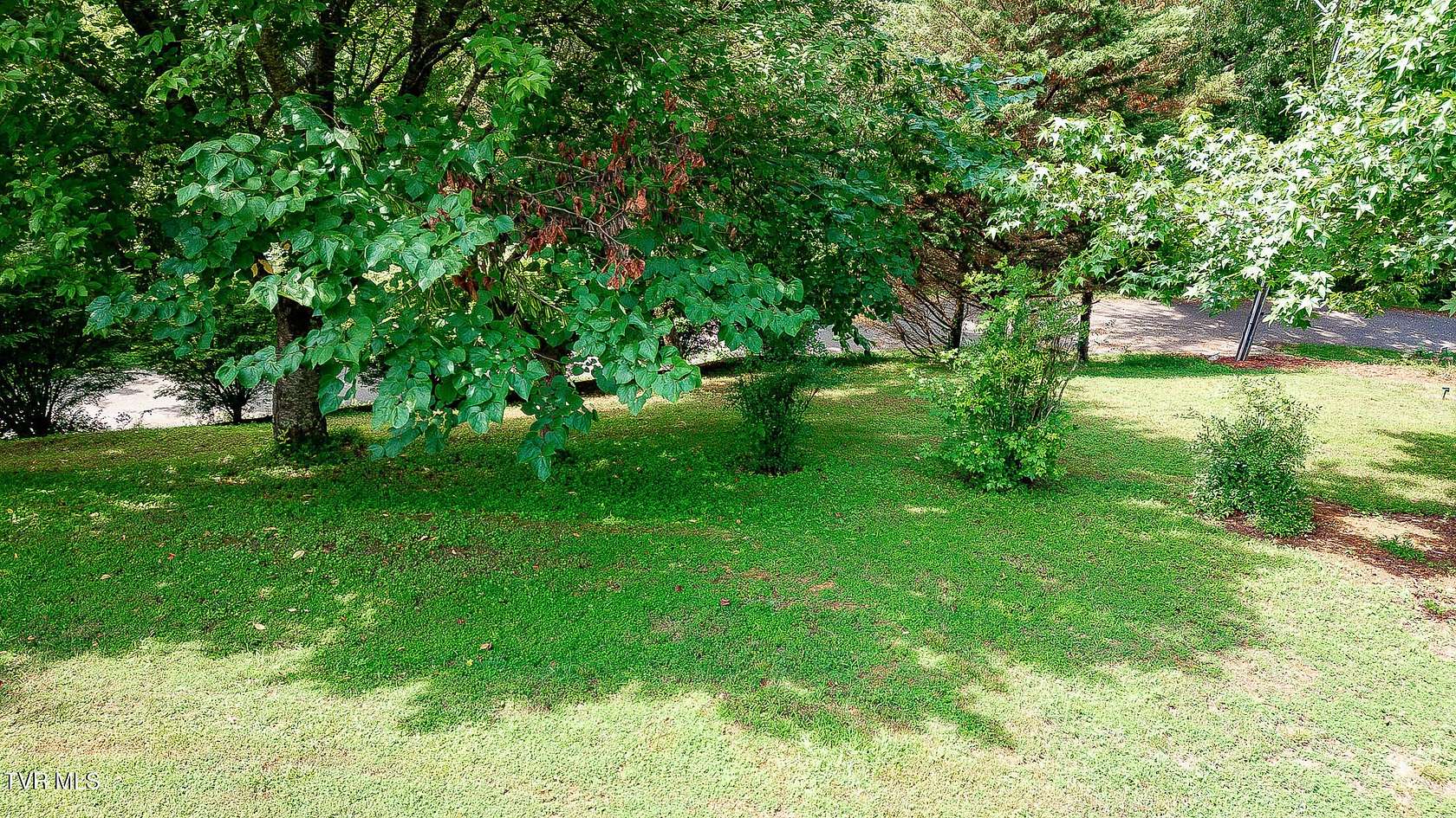 0.33 Acres of Residential Land for Sale in Weber City, Virginia