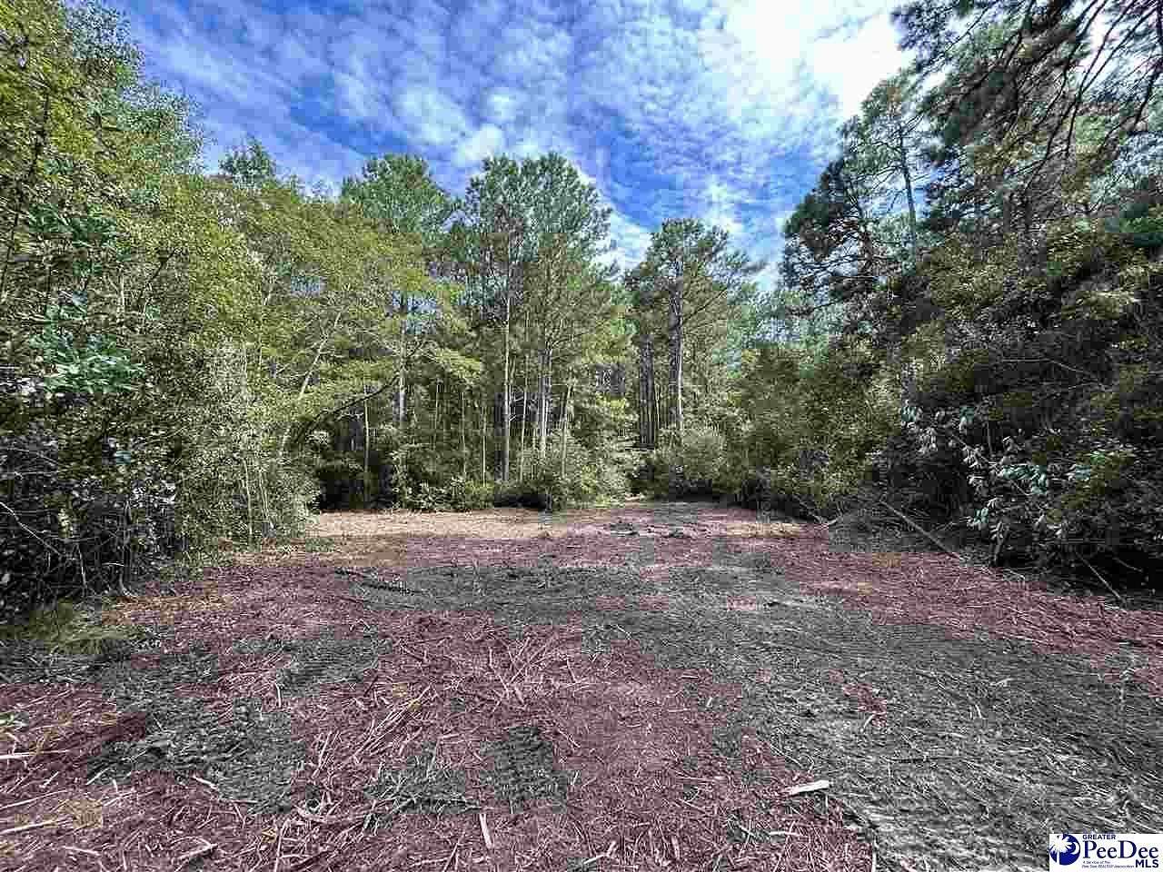 24.6 Acres of Recreational Land for Sale in Cheraw, South Carolina