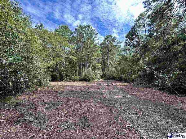 24.6 Acres of Recreational Land for Sale in Cheraw, South Carolina