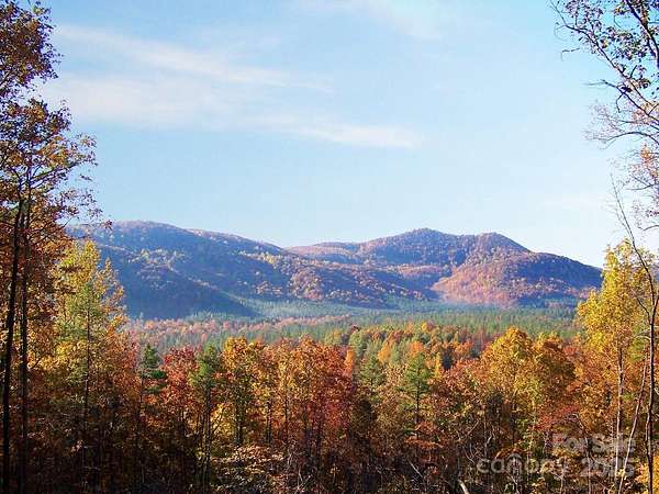 Residential Land for Sale in Nebo, North Carolina