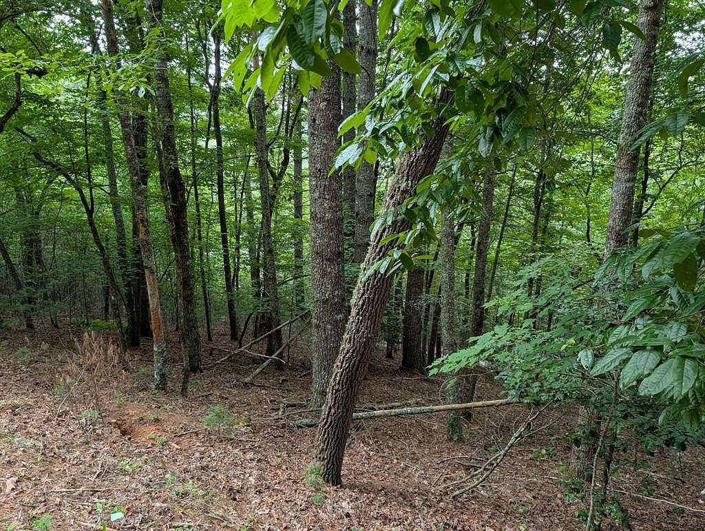 1.4 Acres of Residential Land for Sale in Franklin, North Carolina
