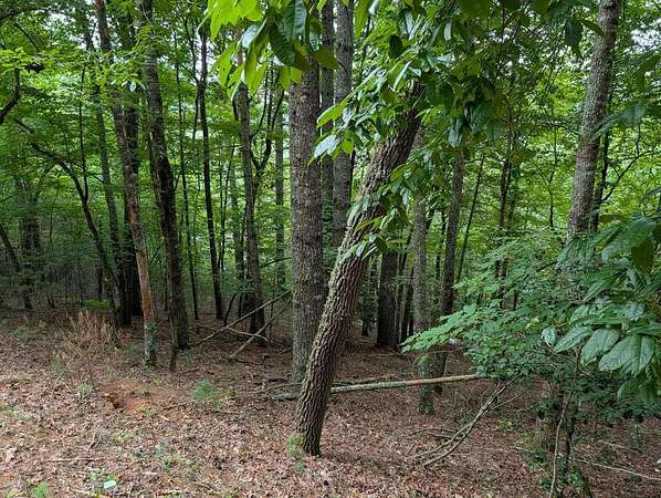 1.4 Acres of Residential Land for Sale in Franklin, North Carolina