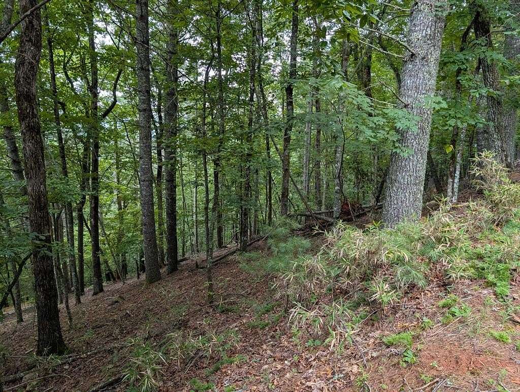 1.15 Acres of Residential Land for Sale in Franklin, North Carolina