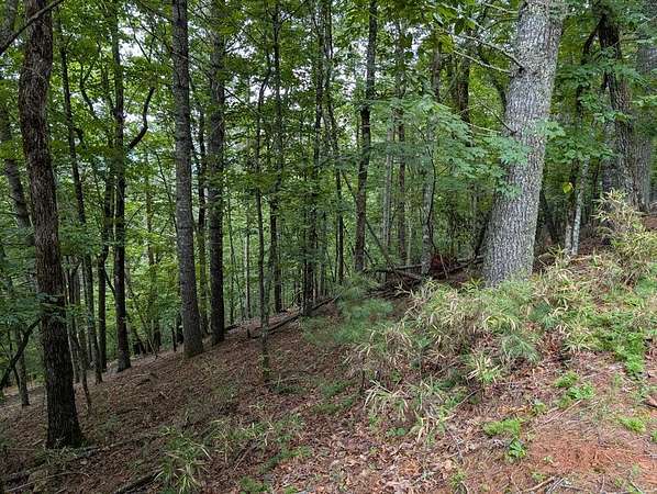 1.15 Acres of Residential Land for Sale in Franklin, North Carolina