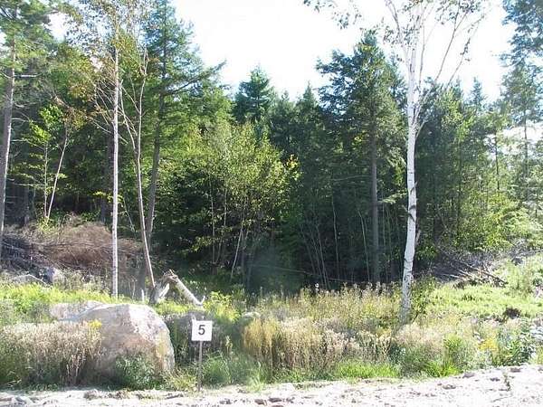 22 Acres of Land for Sale in Naples, Maine