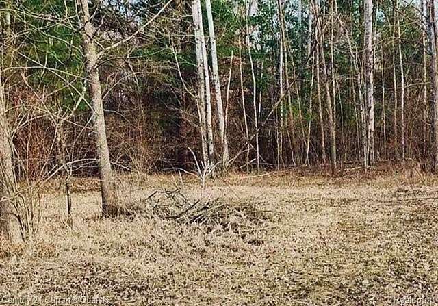 0.42 Acres of Residential Land for Sale in Butman Township, Michigan