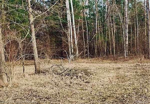 0.42 Acres of Residential Land for Sale in Butman Township, Michigan