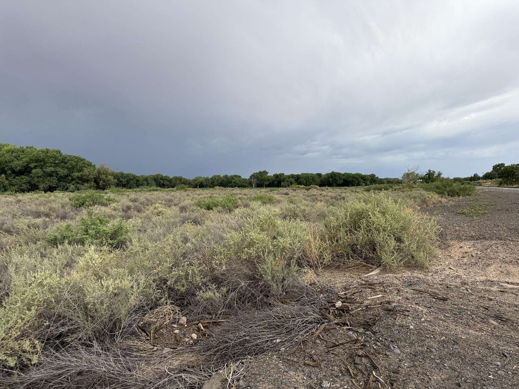 10.8 Acres of Recreational Land for Sale in Bosque, New Mexico