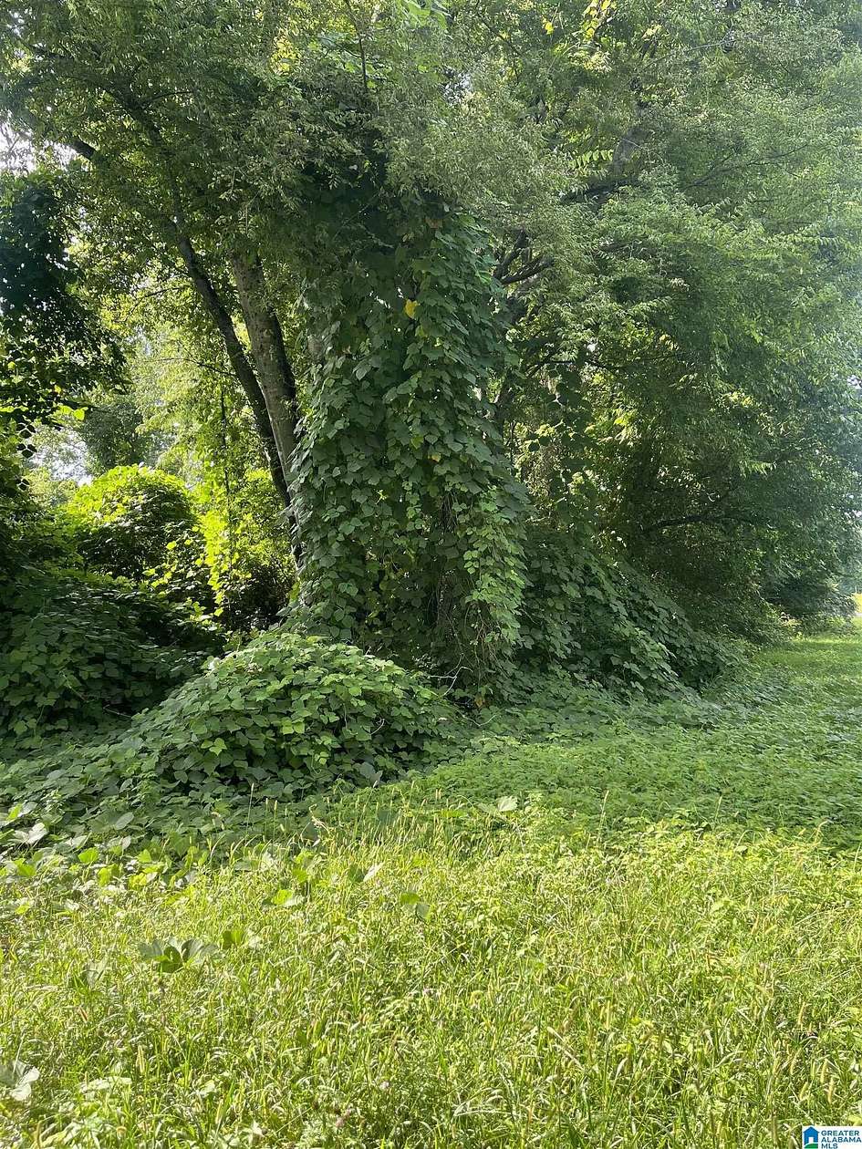 0.12 Acres of Residential Land for Sale in Bessemer, Alabama