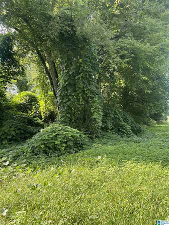 0.12 Acres of Residential Land for Sale in Bessemer, Alabama