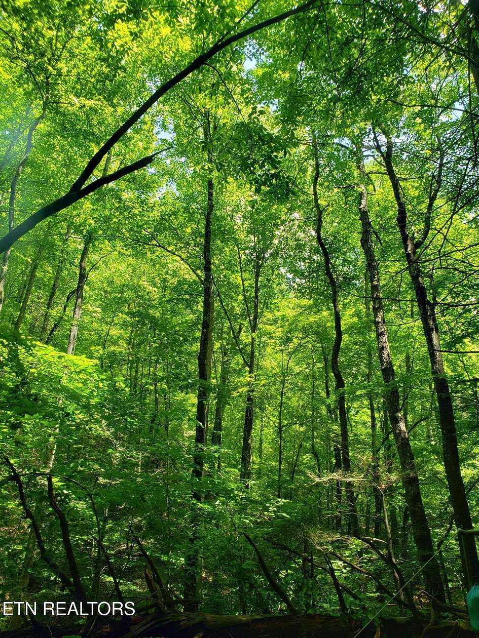 89.6 Acres of Recreational Land for Sale in Speedwell, Tennessee