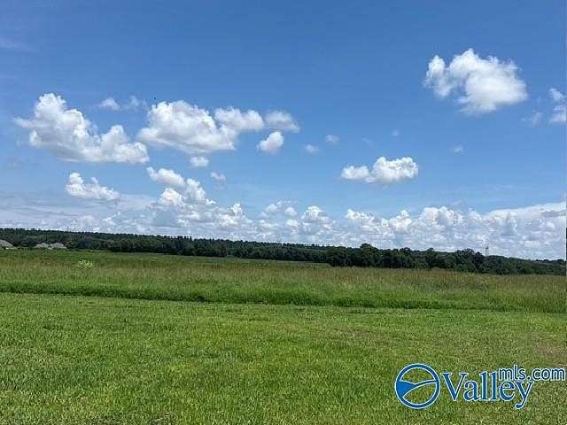 23.8 Acres of Land for Sale in Toney, Alabama