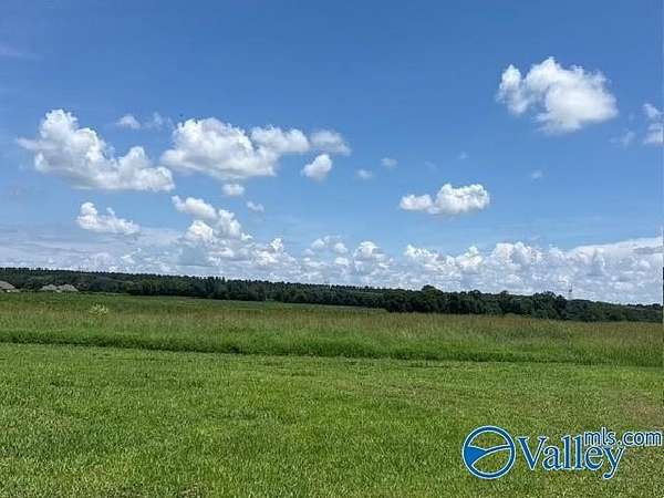 23.8 Acres of Land for Sale in Toney, Alabama