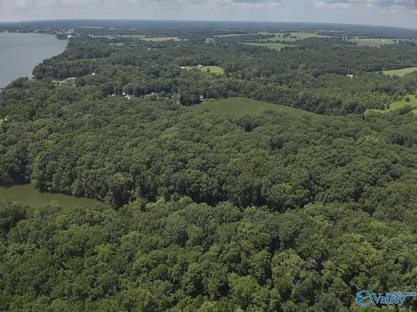 49.6 Acres of Recreational Land for Sale in Athens, Alabama