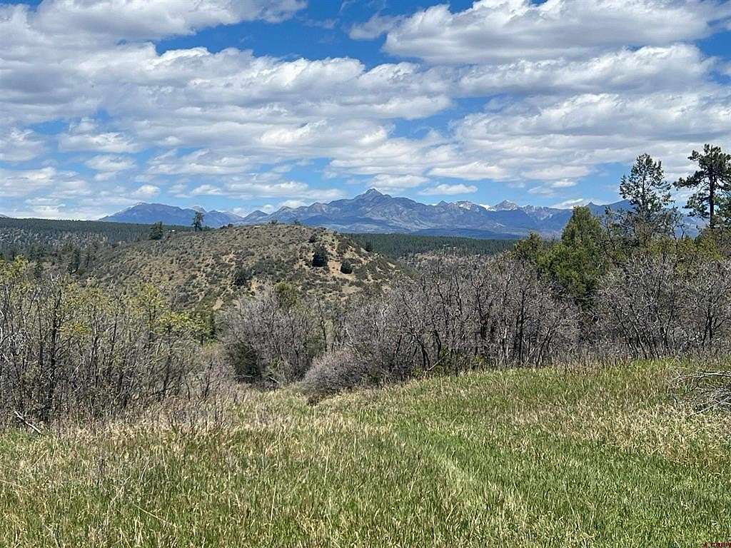 120 Acres of Land for Sale in Pagosa Springs, Colorado