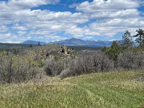 120 Acres of Land for Sale in Pagosa Springs, Colorado