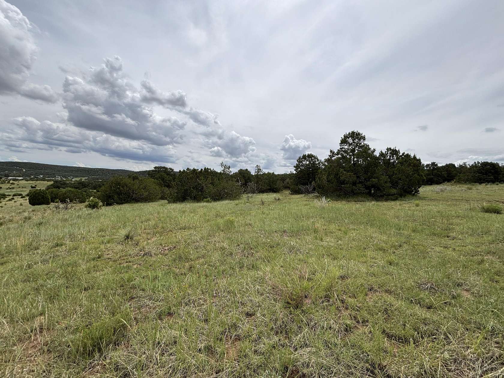 20 Acres of Land for Sale in Edgewood, New Mexico