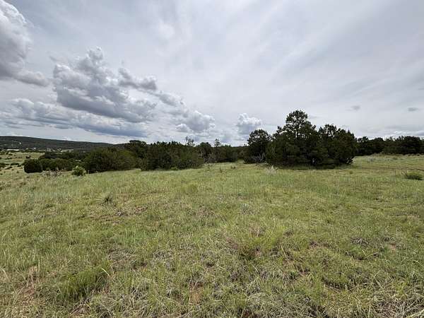 20 Acres of Land for Sale in Edgewood, New Mexico