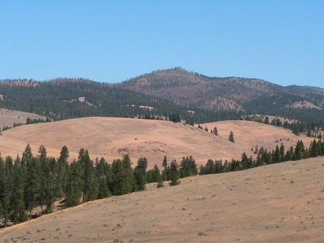 160 Acres of Land for Sale in Florence, Montana