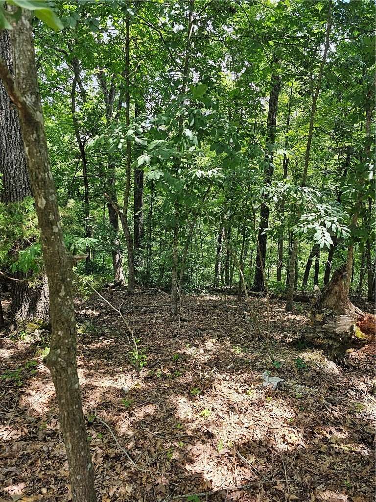 11.4 Acres of Land for Sale in Lowell, Arkansas