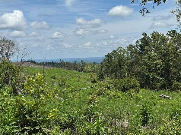 160 Acres of Recreational Land for Sale in Smithville, Oklahoma