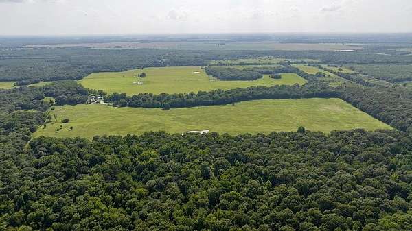 235 Acres of Land for Sale in Deport, Texas