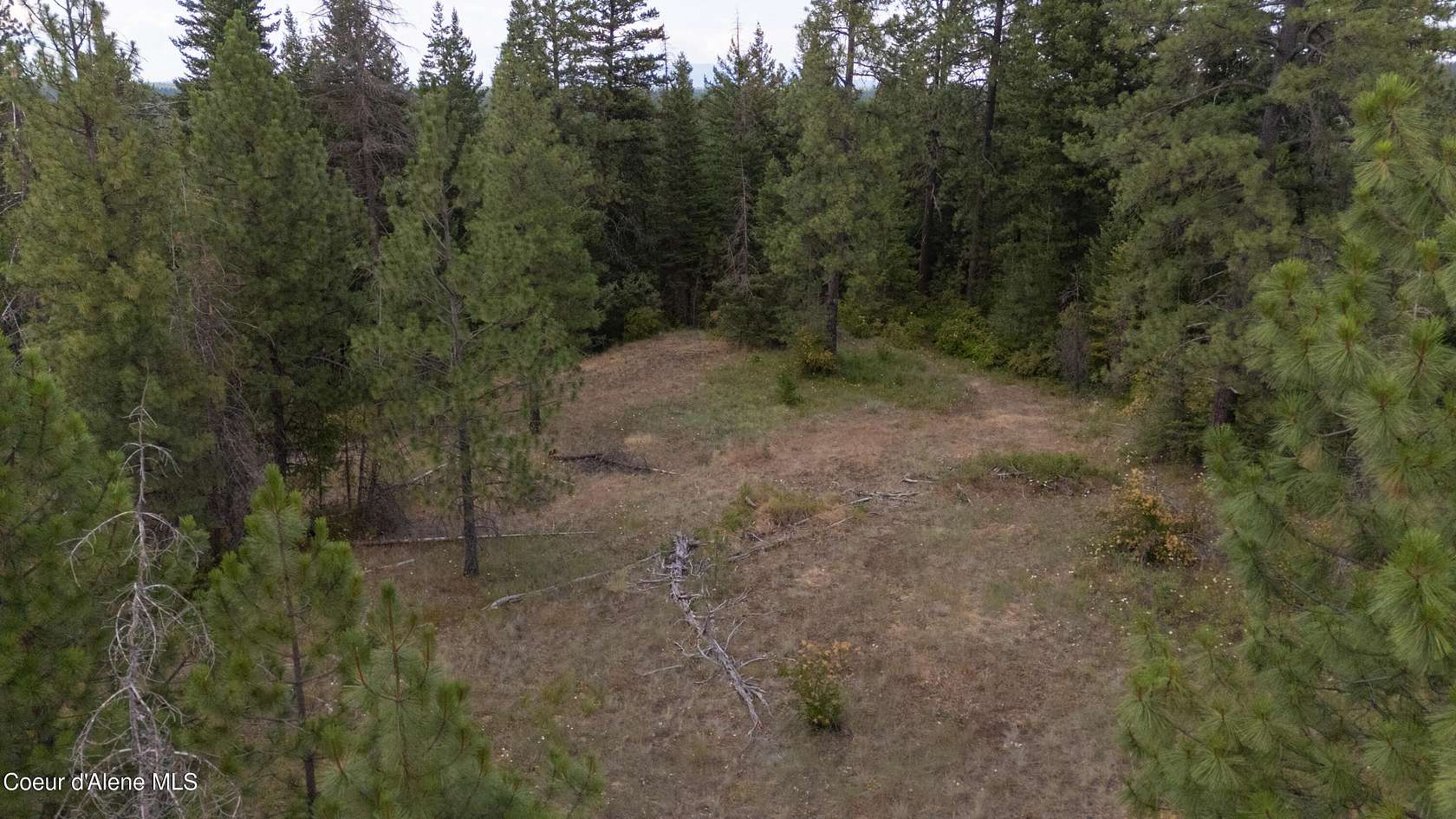 6.87 Acres of Land for Sale in Rathdrum, Idaho