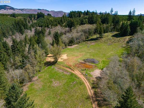 20 Acres of Recreational Land for Sale in Camas, Washington