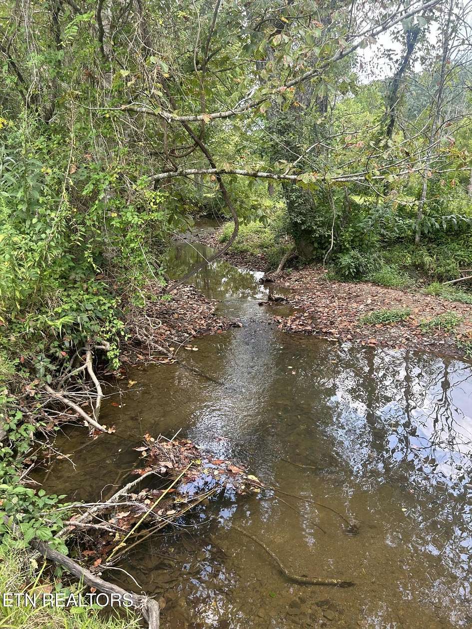 40.6 Acres of Land for Sale in Oneida, Tennessee