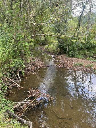 40.6 Acres of Land for Sale in Oneida, Tennessee