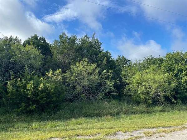 0.51 Acres of Residential Land for Sale in Whitney, Texas