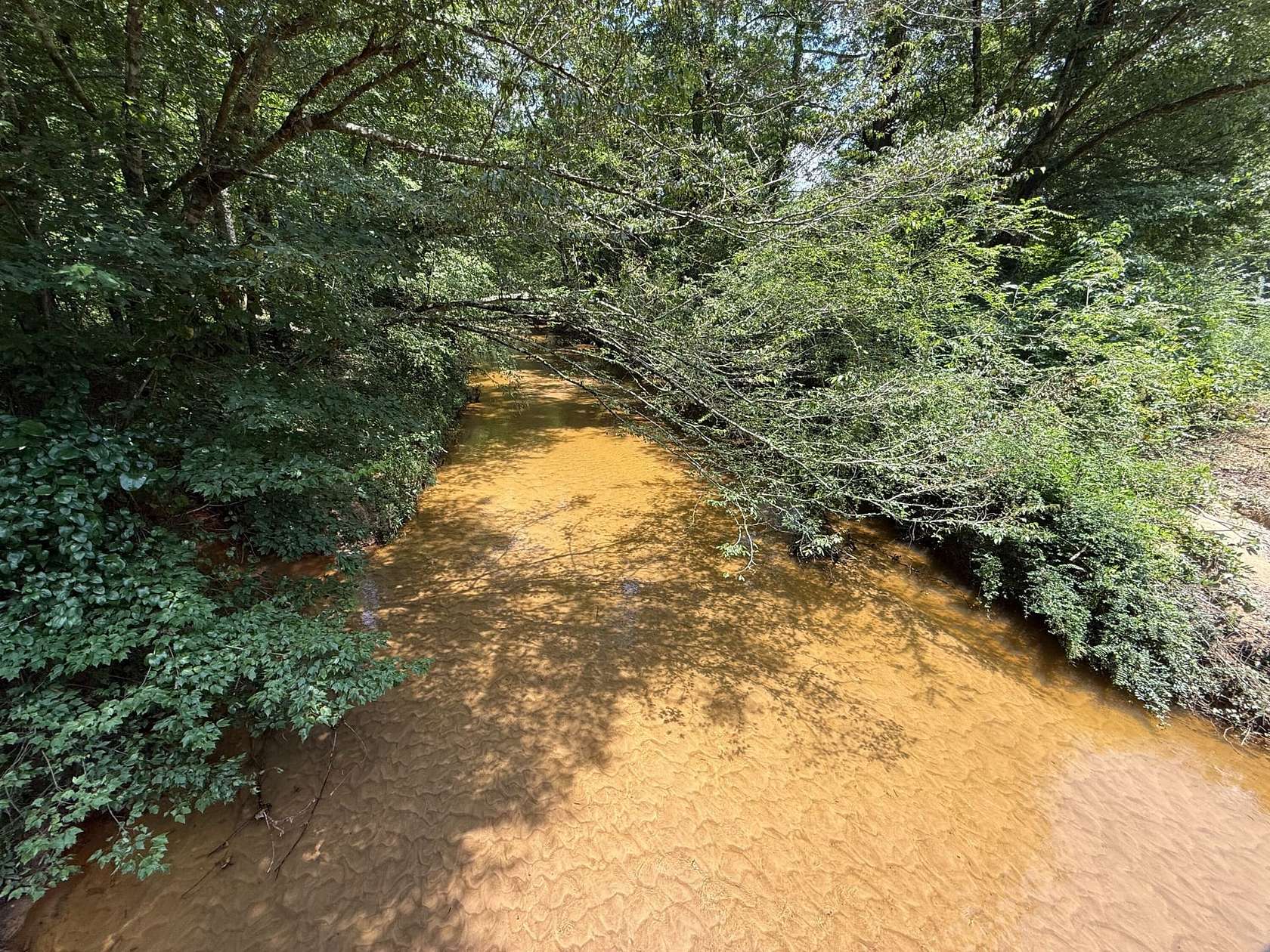 45 Acres of Recreational Land & Farm for Sale in Fayette, Alabama