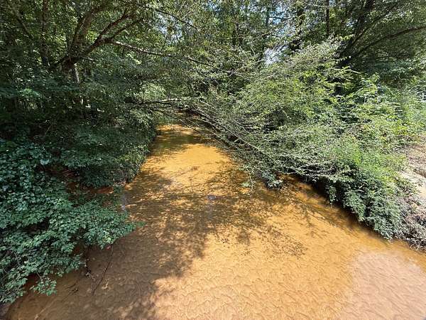 45 Acres of Recreational Land & Farm for Sale in Fayette, Alabama