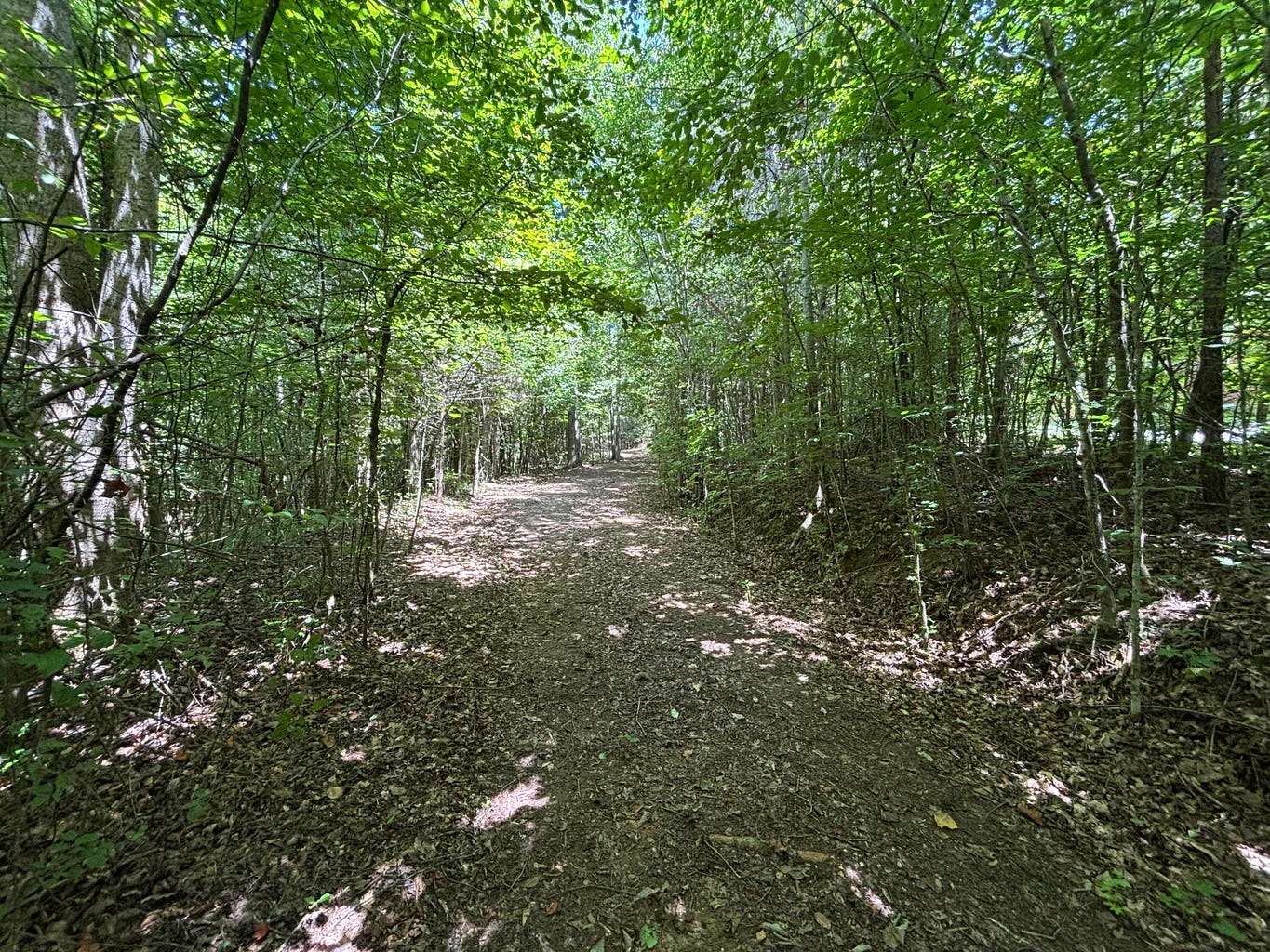 1 Acre of Residential Land for Sale in Whitwell, Tennessee