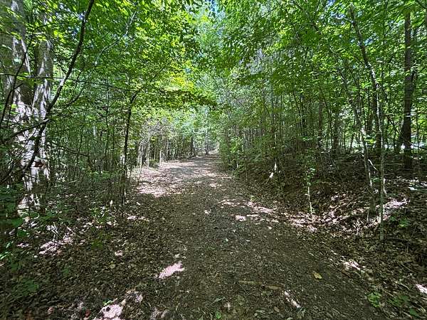 1 Acre of Residential Land for Sale in Whitwell, Tennessee