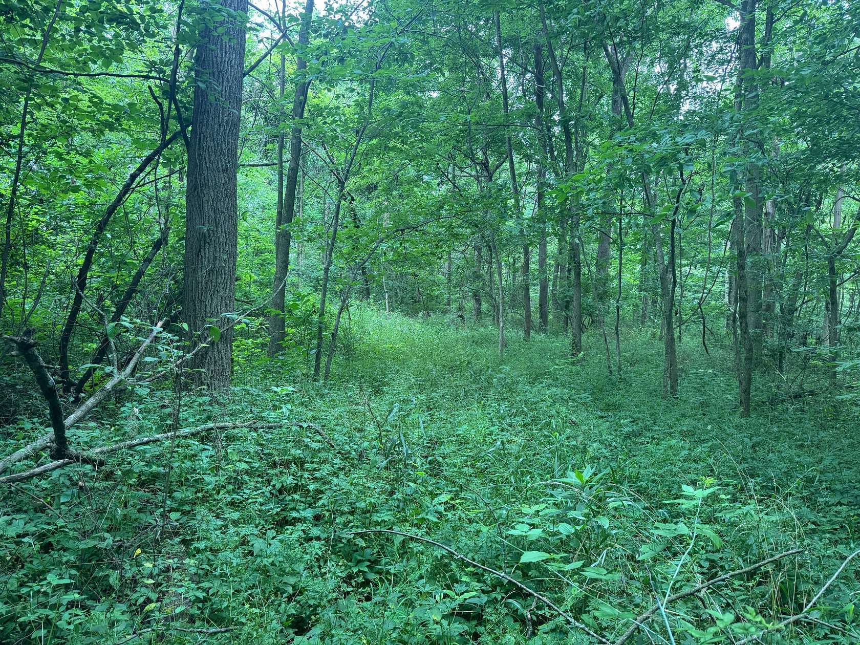 7.3 Acres of Recreational Land for Sale in Fountain City, Indiana