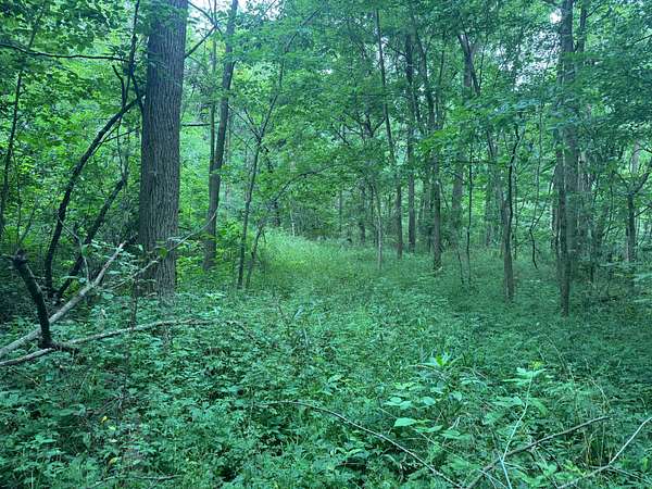 7.3 Acres of Recreational Land for Sale in Fountain City, Indiana