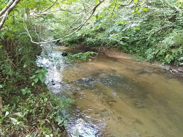 96.8 Acres of Recreational Land for Sale in Murphy, North Carolina