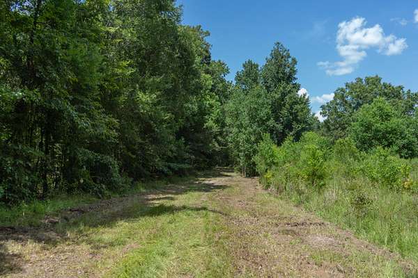216 Acres of Recreational Land & Farm for Sale in West Monroe, Louisiana