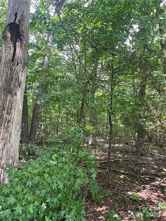 28 Acres of Recreational Land for Sale in Albemarle, North Carolina
