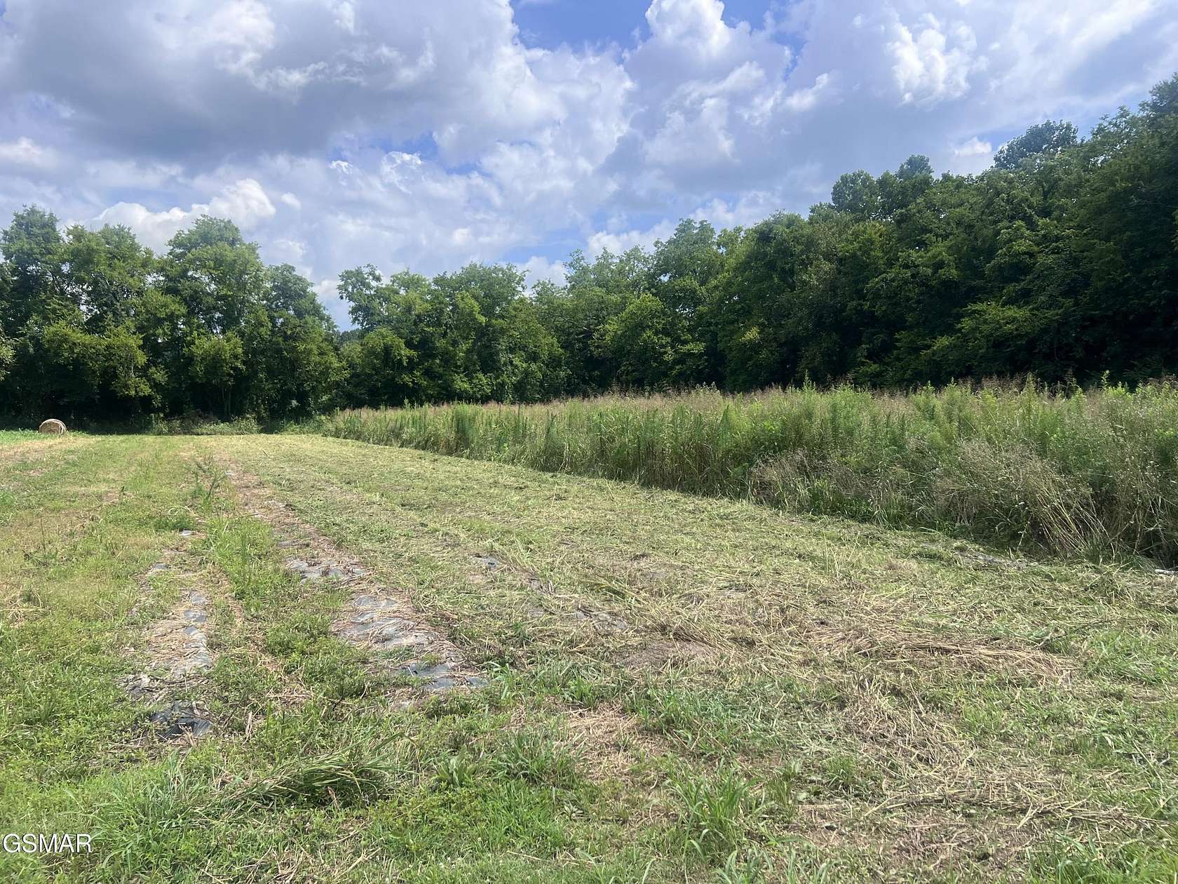 1 Acre of Residential Land for Sale in Newport, Tennessee
