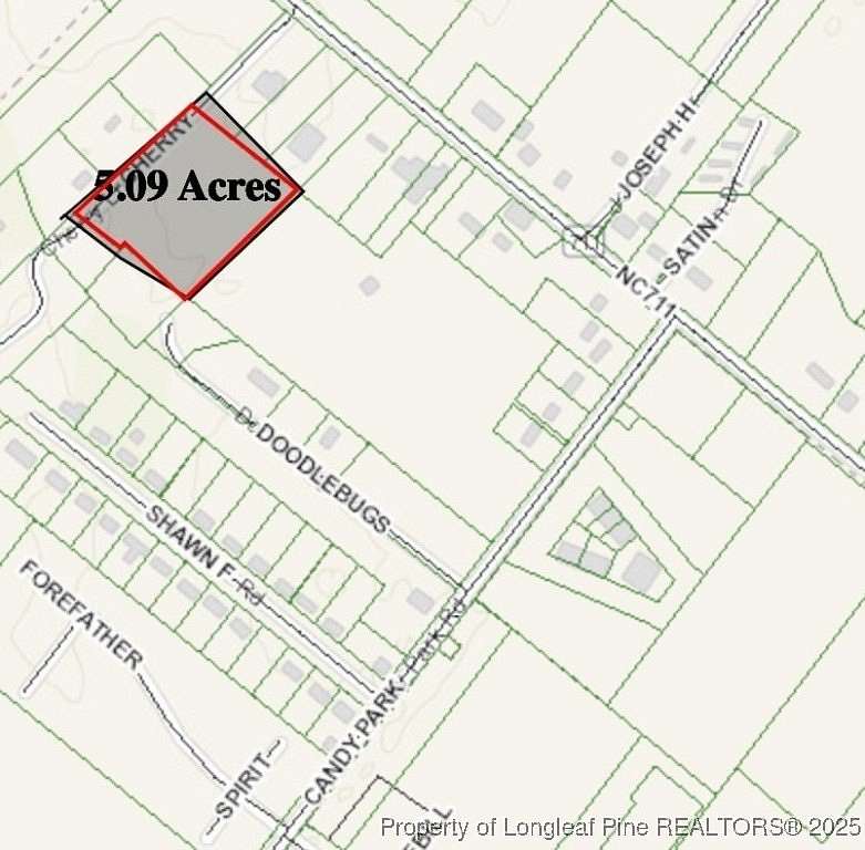 5 Acres of Land for Sale in Pembroke, North Carolina