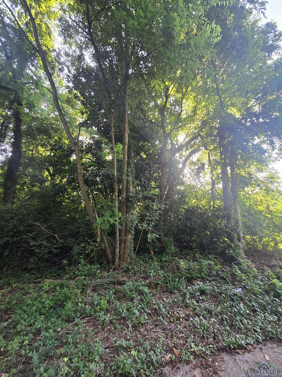 0.16 Acres of Residential Land for Sale in Henderson, Texas