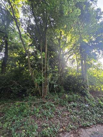 0.16 Acres of Residential Land for Sale in Henderson, Texas