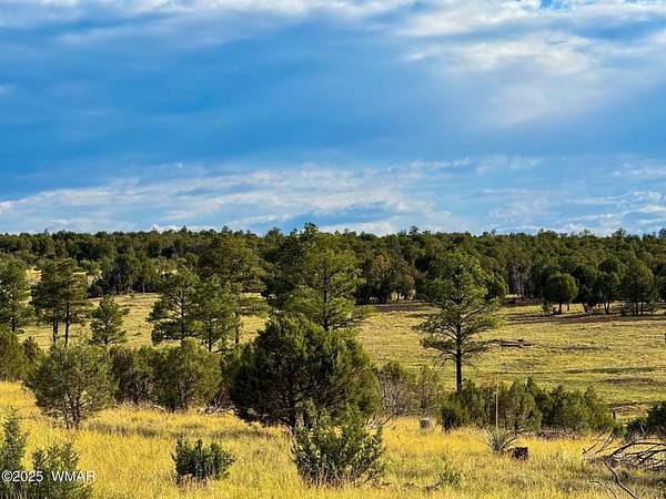 5 Acres of Residential Land for Sale in Aripine, Arizona